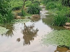-中国茶叶博物馆(双峰馆区)