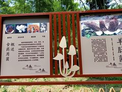 -黄公望隐居地