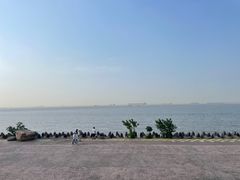 -上海滨江森林公园