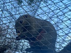 -鹅湖玫瑰文化园