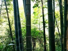 -周洛大峡谷