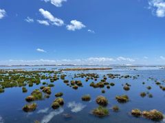-花湖生态旅游区