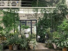 -六出私塾LiuChu•成人美术书法系统课程专业画室(熊婆婆的花园店)