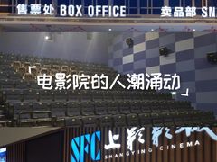 -SFC上影影城(北京大兴龙湖天街IMAX店)