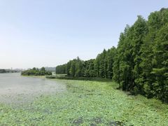 -东湖落雁景区