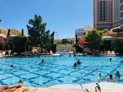 -拉斯维加斯永利酒店