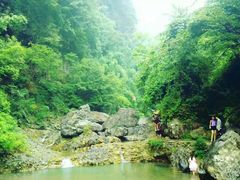 -华蓥山天意谷景区