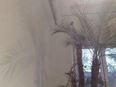 景观位-筑艺咖啡