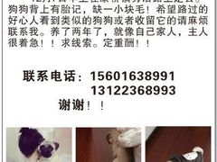 -康成宠物医院24H·CT·核磁共振