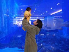 -成都浩海立方海洋公园