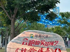-《驼铃传奇》秀