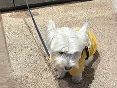 -常识咖啡common sense(春熙路店)