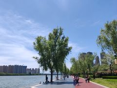 -渭滨公园