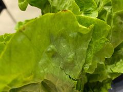 -川香煲(茅台路店)