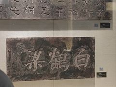 -白鹤梁水下博物馆