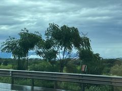 -金华体育中心游泳馆