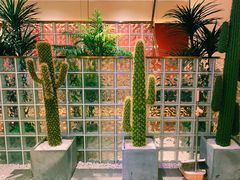 -悦海·家宴·冰花皮皮虾大锅贴(宝龙店)