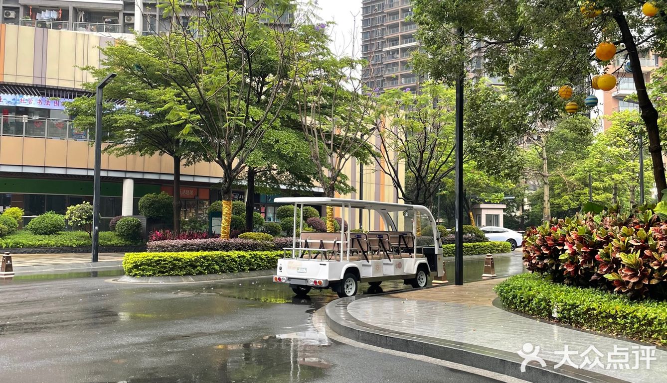 又下雨了，广州