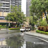 又下雨了，广州