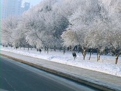 -中旅松花湖滑雪场