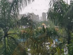 -南宁市凤岭儿童公园