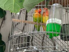 -禾记花园涮肉餐厅