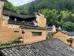 -杨家堂村