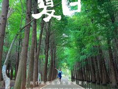 -捞渔河湿地公园