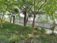 -秋霞圃