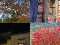 -塔川景区