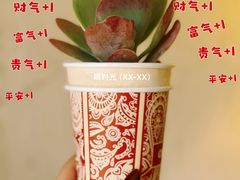 -OUR Bakery(SKP-S店)