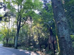 -南岳衡山风景名胜区