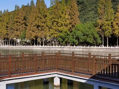 -黄贤森林公园