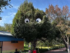 -水上乐园·欢乐世界