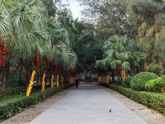 -宋井风景区