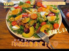 鸡蛋牛油果沙拉-百好乐宠物友好餐厅(朝外大街店)