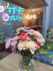 -卡莫瑜伽·普拉提