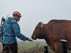 -终南山国家森林公园