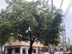 -真香牛肉老店(思源路店)