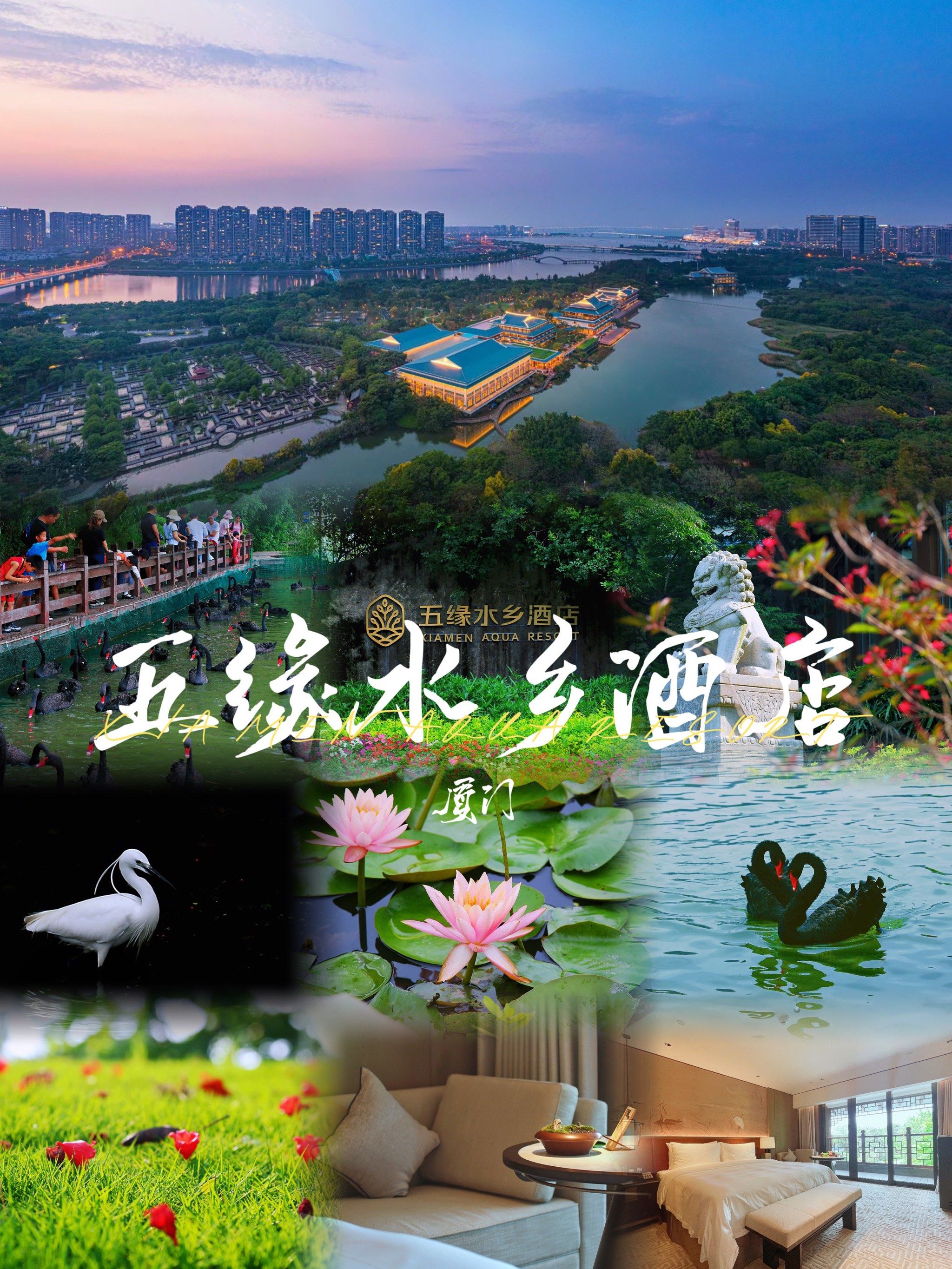 厦门探店|厦门不止于海,住五缘水乡酒店奢享自然