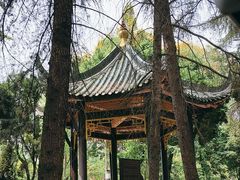 -四川大学(望江校区)