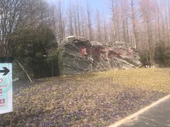 -东平国家森林公园