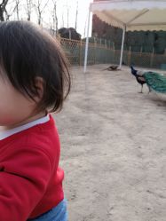 -萌宠亲子动物乐园(槐房万达店)