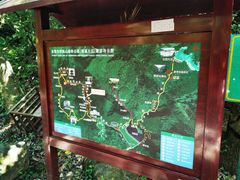 -清溪森林公园