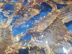 -盒马鲜生(首义店)