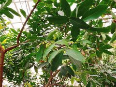 -石家庄市植物园