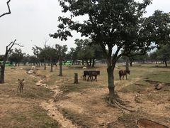 -西安秦岭野生动物园