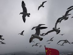 -西霞口神雕山野生动物世界