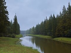 -黄海国家森林公园