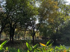 -东湖落雁景区